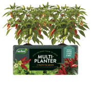 Multi Planter Chillis